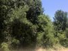 000 Tatem Hill Road photo